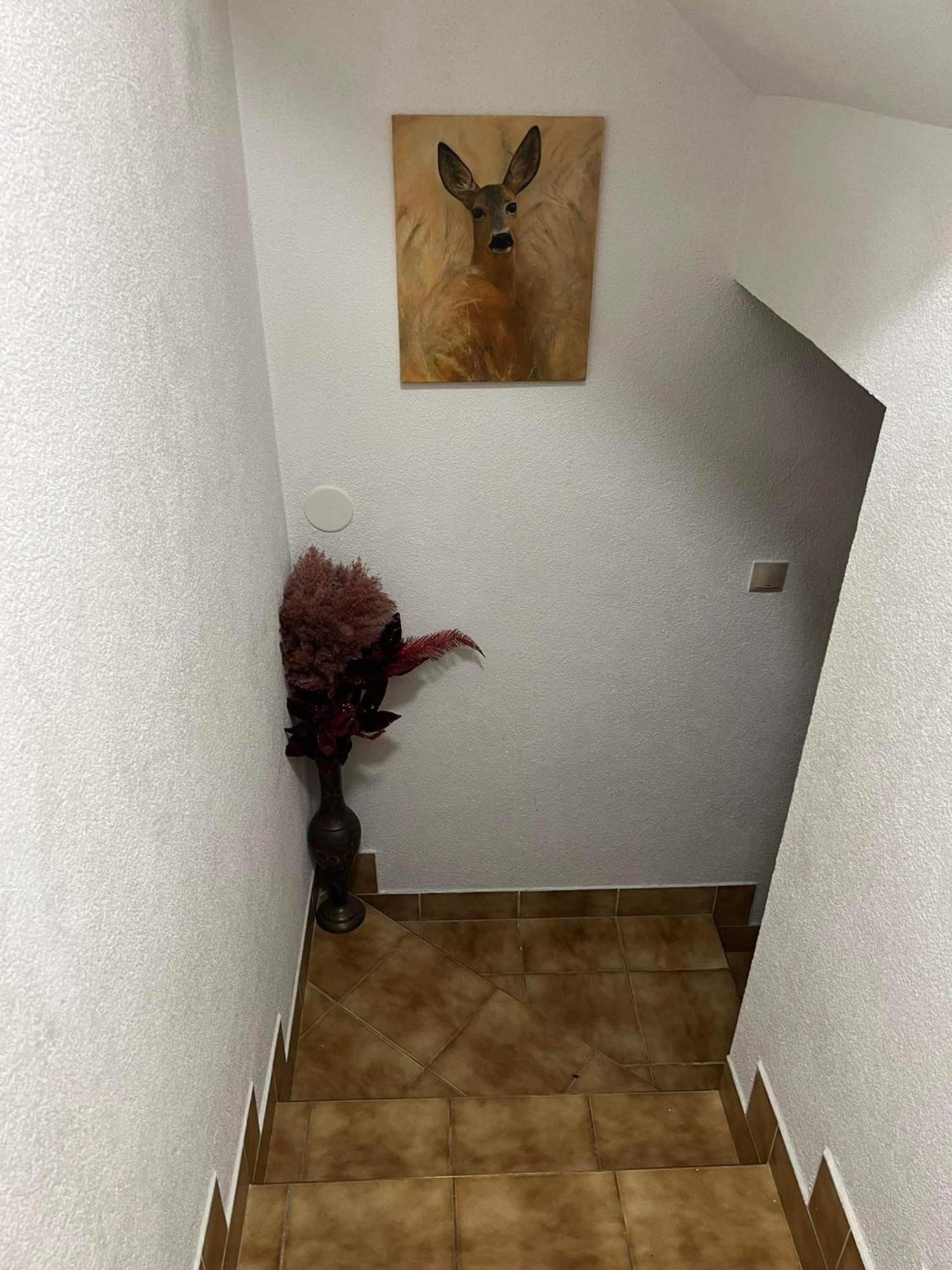 Privat Forest Liptovský Mikuláš Extérieur photo